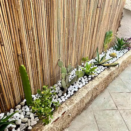 House On The أغنون باني